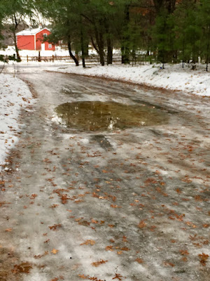 December driveway puddle (12/29/2019)