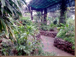 Imagem095