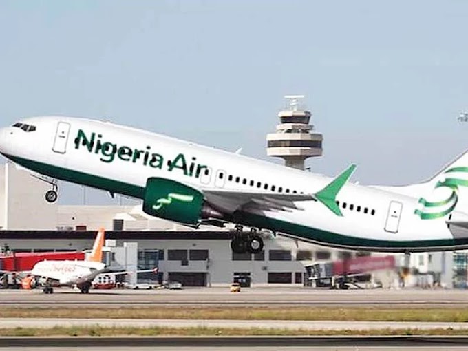 House of Rep Ask FG to Suspend Nigeria Air