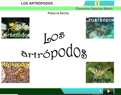 https://cplosangeles.educarex.es/web/edilim/curso_3/cmedio/animales_invertebrados_3/artropodos/artropodos.html