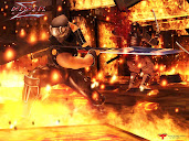 #21 Ninja Gaiden Sigma Wallpaper