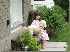 Teds ottawa 253