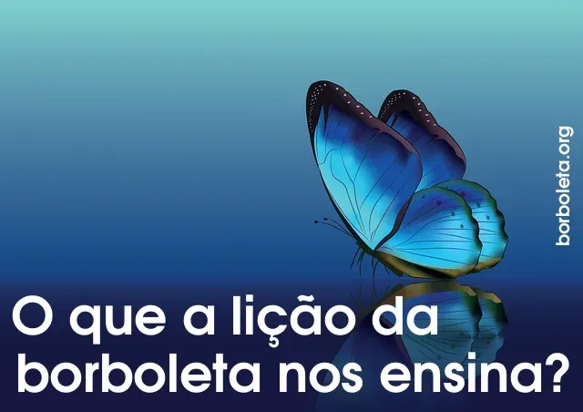 O que a lição da borboleta nos ensina?