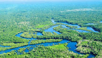 The Amazon is the world's largest rainforest. (Photo Credit: CIFOR/Neil Palmer) Click to Enlarge.