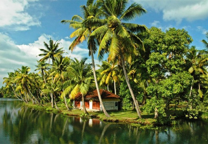 Kerala Natural Photos