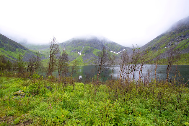 Isola di Senja-Punto panoramico verso Mefjordvaer-Isole Lofoten