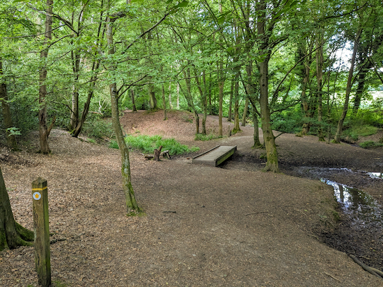 The yellow trail crosses several footbridges