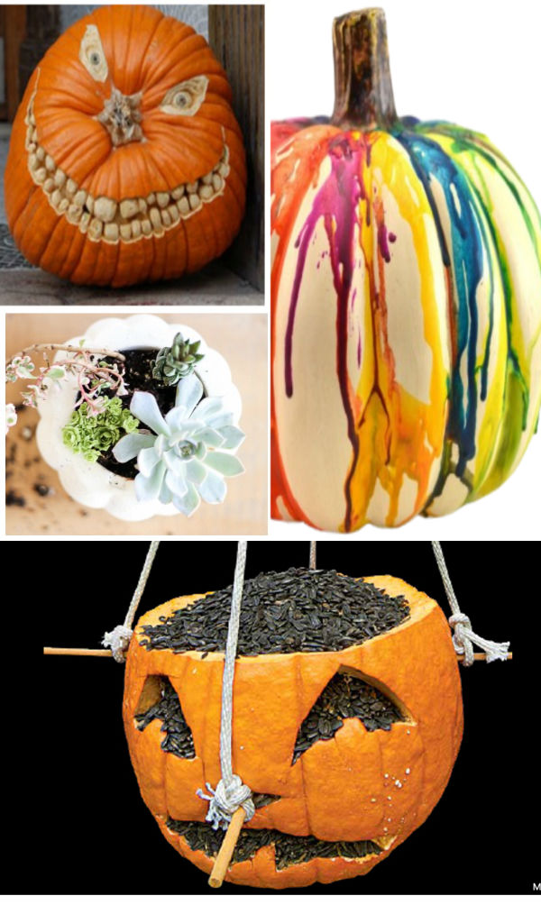 25+ GENIUS PUMPKIN HACKS! These are so clever! #pumpkinhacks #pumpkinuses #pumpkinideas #waystouseapumpkin #growingajeweledrose #activitiesforkids