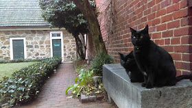 Pluto and Edgar on a stone bench at the Poe Museum