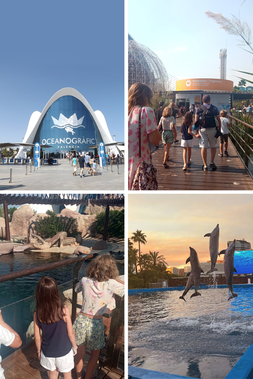 TRAVEL: CITY OF SCIENCES + OCEANOGRAPHIC (VALENCIA) //CIUDAD DE LAS CIENCIAS + OCEANOGRÁFICO (VALENCIA)