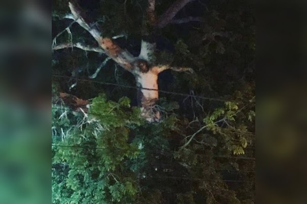 Orang Colombia Ramai-ramai Langgar Aturan Lockdown gegara Lihat Penampakan Yesus di Pohon
