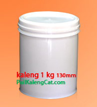 Pail Kaleng Cat Jerigen Toples Pail botol Minyak 