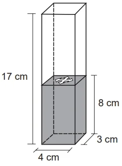 Para a coluna de água chegar até essa altura, é necessário colocar dentro do recipiente bolinhas de volume igual a 6 cm3 cada, que ficarão totalmente submersas.