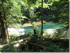 lewis river falls 54