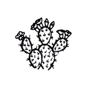++ 50 ++ outline prickly pear cactus drawing 141050