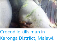 http://sciencythoughts.blogspot.co.uk/2017/12/crocodile-kills-man-in-karonga.html