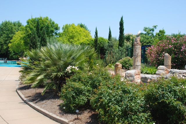 Mediterranean area, looking back to the water play which is at the center of their large fenced-in children's garden.