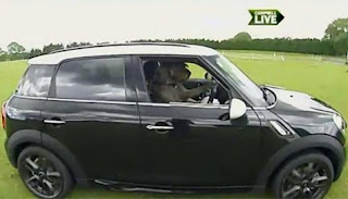 dogs driving cars unique