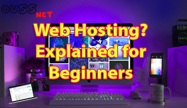 What exactly is web hosting