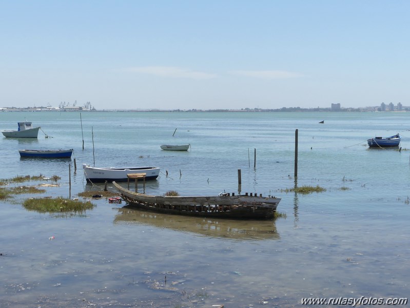 Bici Cádiz - Puerto de Santa María - Puerto Real - San Fernando - Cádiz