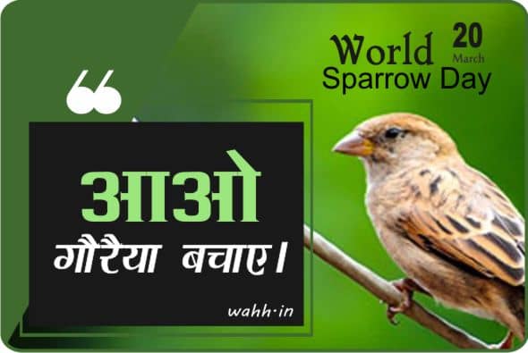 World Sparrow Day Quotes  In Hindi With Images