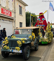 fête mimosa Saint-Trojan-les-Bains (17)