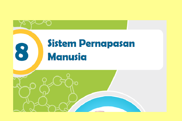 Jelaskan organ penyusun sistem pernapasan manusia beserta fungsinya!