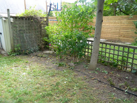 High Park Toronto Back Yard Fall Cleanup After by Paul Jung Gardening Services--a Toronto Organic Gardening Company