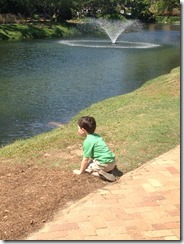 Fall 2012-July 2013 581