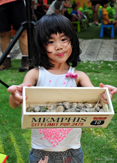 DSC_8584 DSC_8584