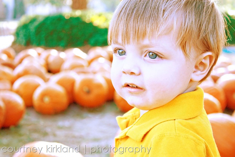 PumpkinPatch 053-edit