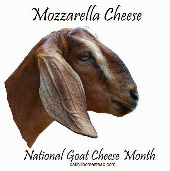 A Nubian goat's head. Text: Mozzarella cheese, National Goat Cheese Month."