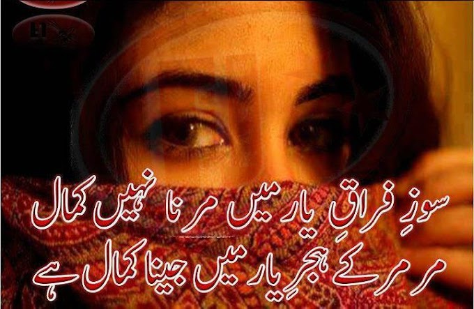 Urdu poetry