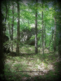 The body of a 19th century peddler was believed to be hidden in a cave in the Stoney Hollow after he was robbed and murdered.  To this day his ghost haunts the Mossy Glen.