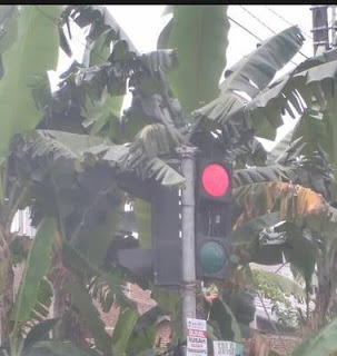 lampu lalu lintas, lampu kuning, lampu kuning yang terabaikan