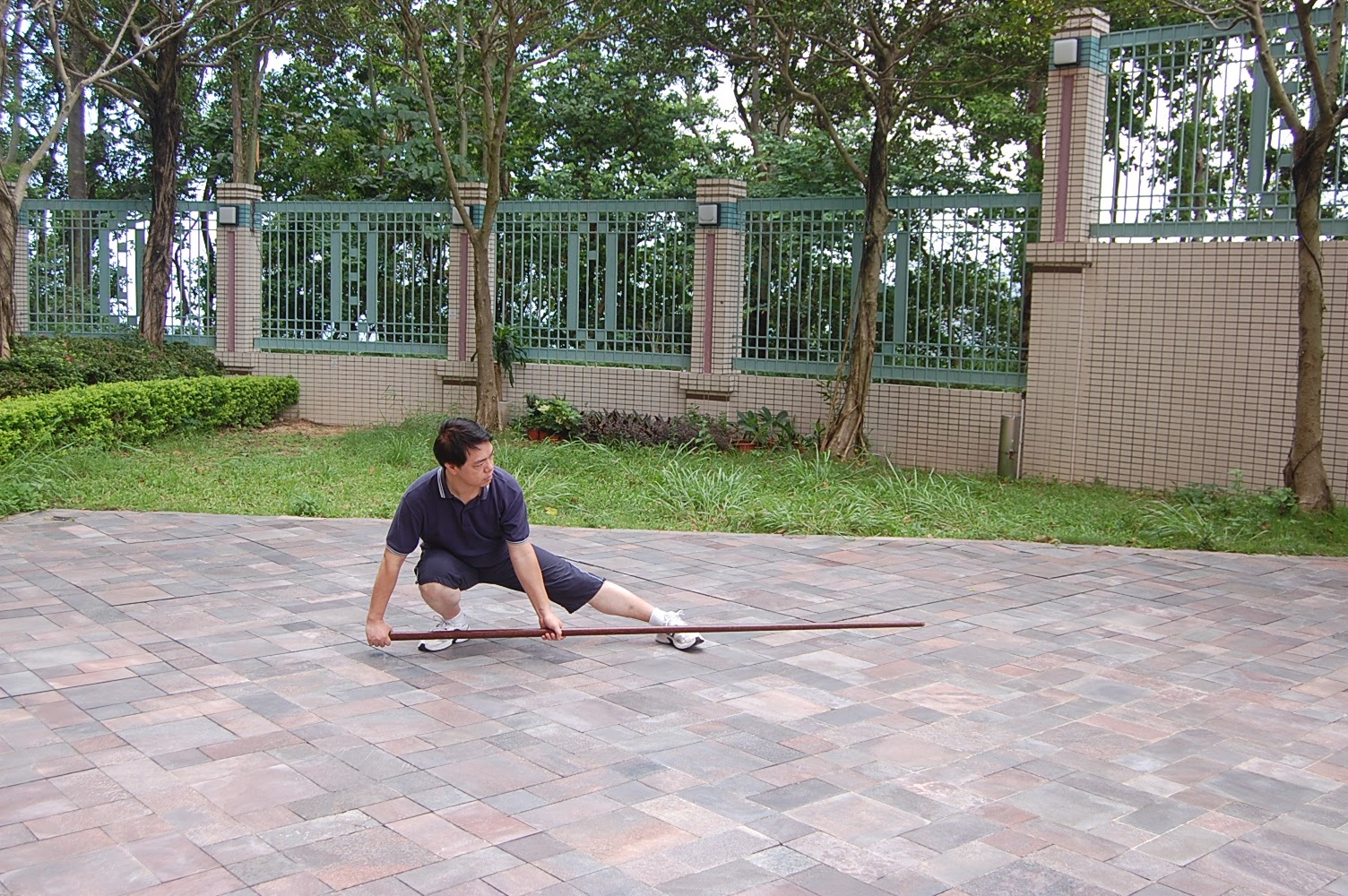 太極槍 12 臥虎潛龍