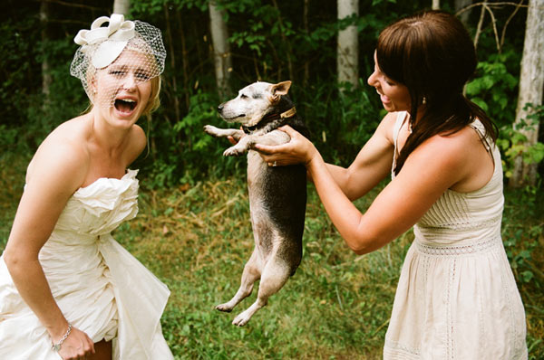 Isn 39t this Rustic Ontario wedding a stellar balance between humble and 