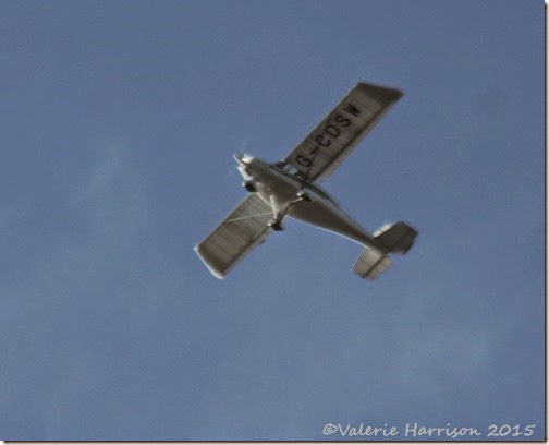 14-plane
