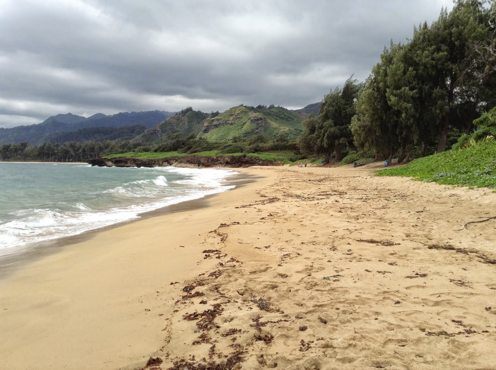HAWAIIAN JOY 2014