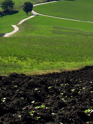 Strade Bianche di Romagna - Passo del Carnaio