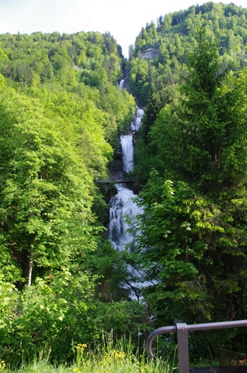 IMGP8921
