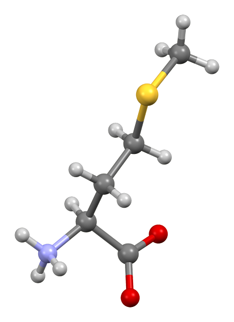 Methionine Market