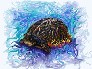 Slow Turtle - Art by Sylvia Kay