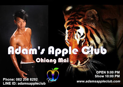 Boy Bar Chiang Mai Adam's Apple Club