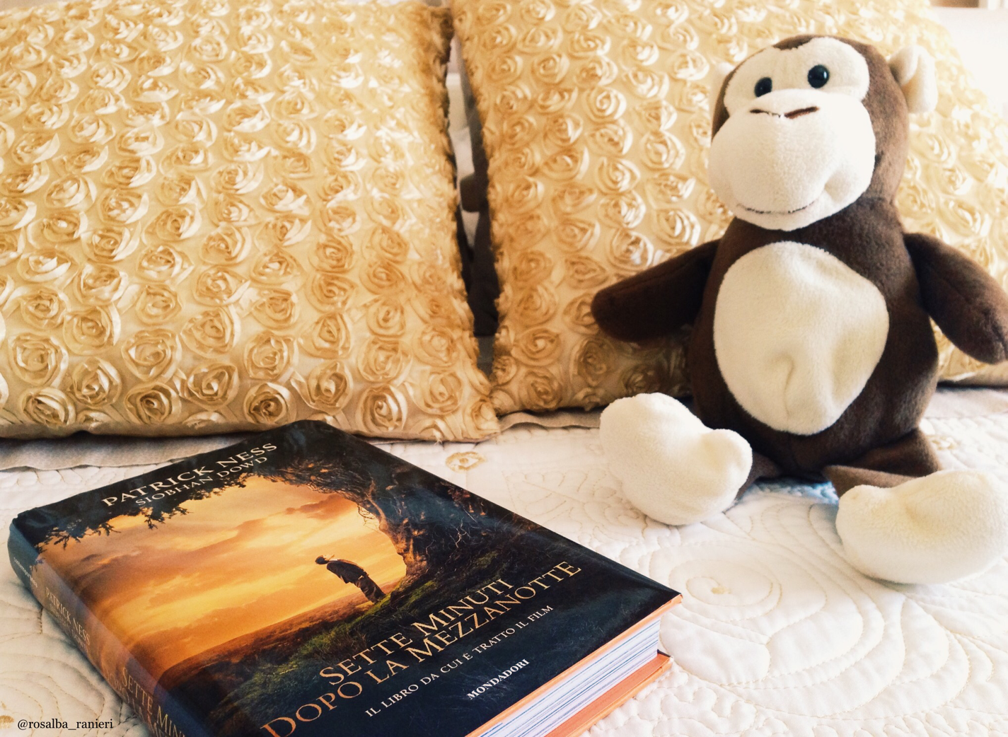 libro, peluche, ragazzi