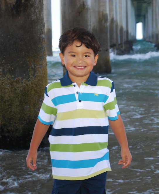 Dominic Roque