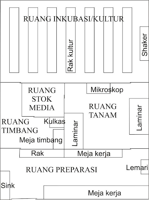 Kultur Jaringan RUANGAN LABORATORIUM KULTUR JARINGAN