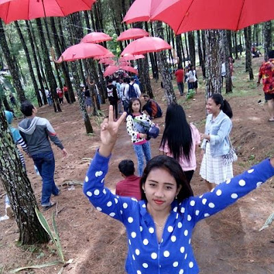 Selfie Hutan Pinus Banyuwangi