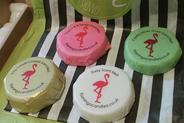 flamingo candles scent crowd june box