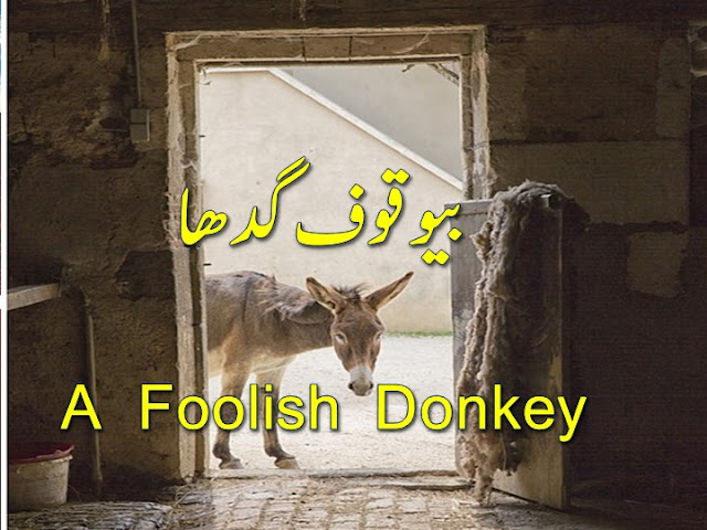 Best Moral Stories for Kids in Urdu, A Foolish Donkey, foolish donkey,foolish donkey 3d story,donkey,the foolish donkey story,foolish donkey 3d story in english,the foolish donkey,stories,stories for kids,moral stories for kids,the foolish donkey story in bengali,foolish donkey story,the foolish donkey story in gujarati,the foolish donkey story in hindi,kids stories,animated stories,moral,short stories,list of moral stories,the best of moral stories